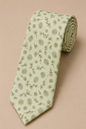 Green sage Pinecone