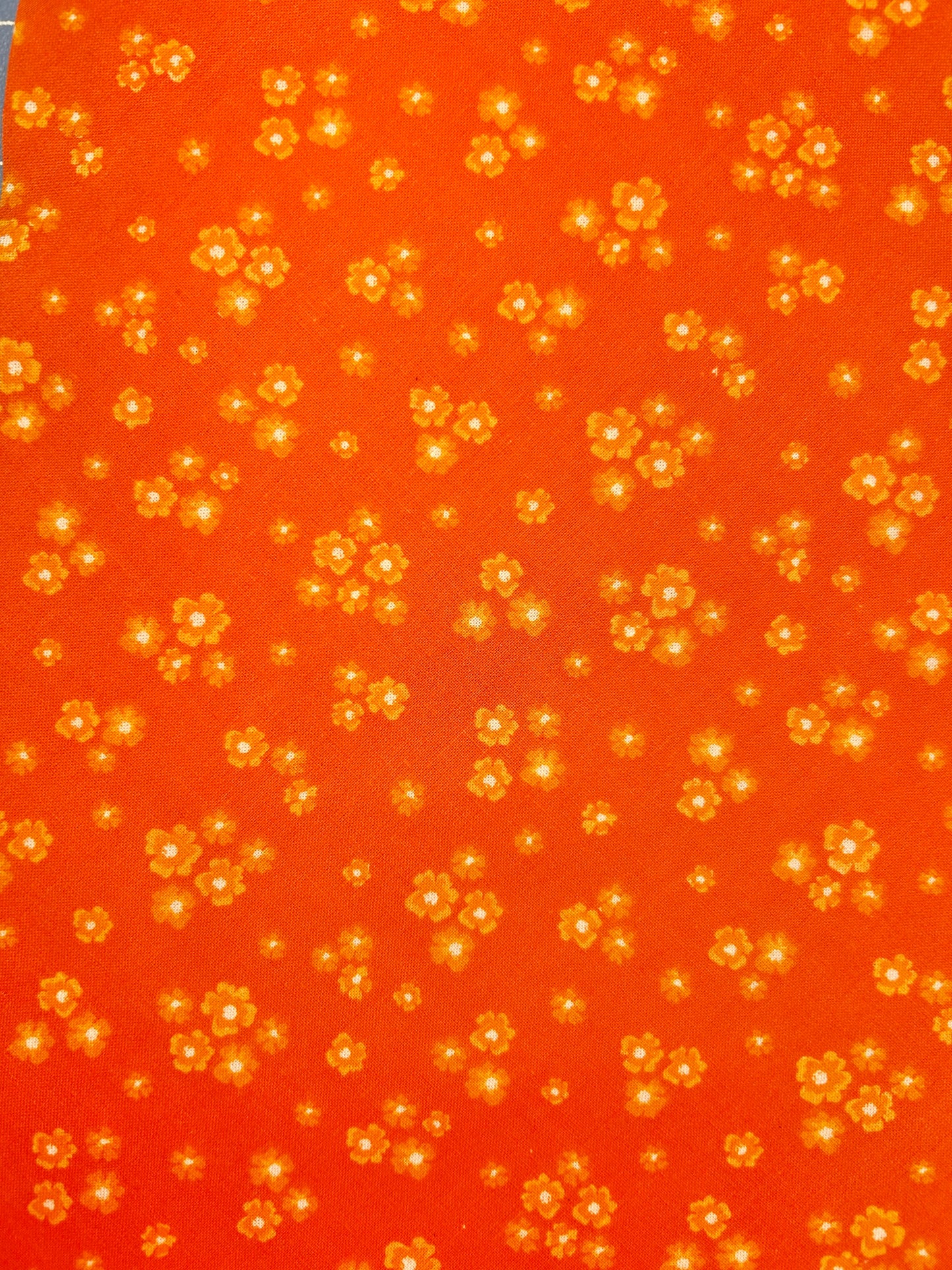 Bright Orange Floral