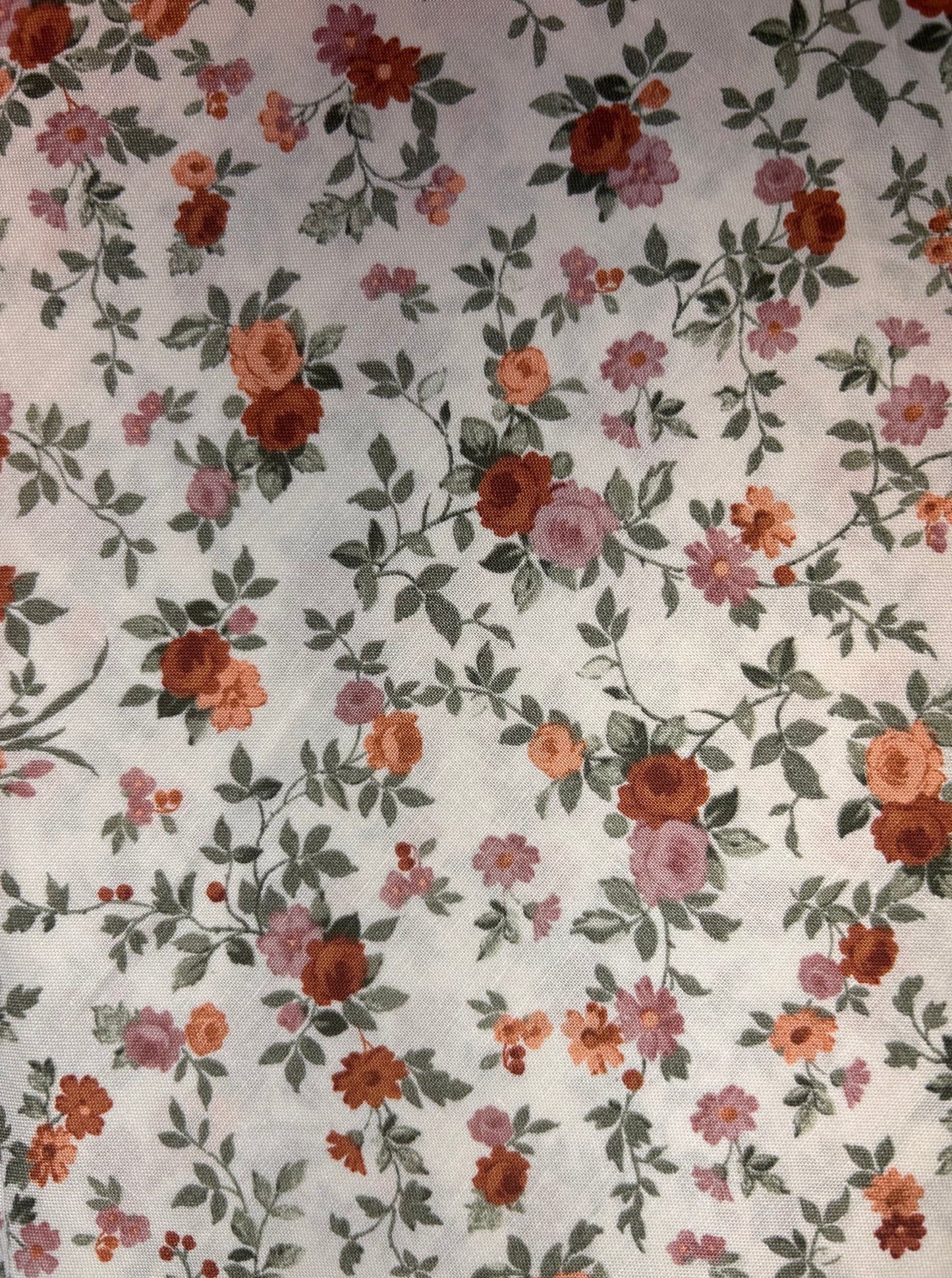 Vintage Beige Orange Roses