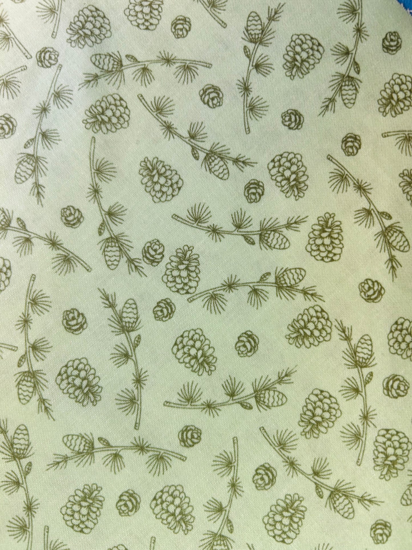 Green sage Pinecone