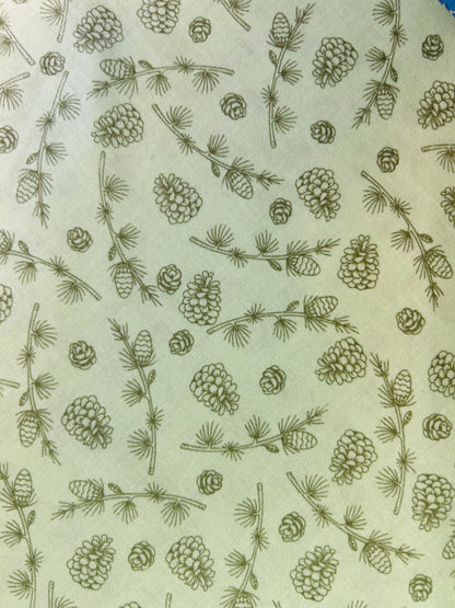Green sage Pinecone