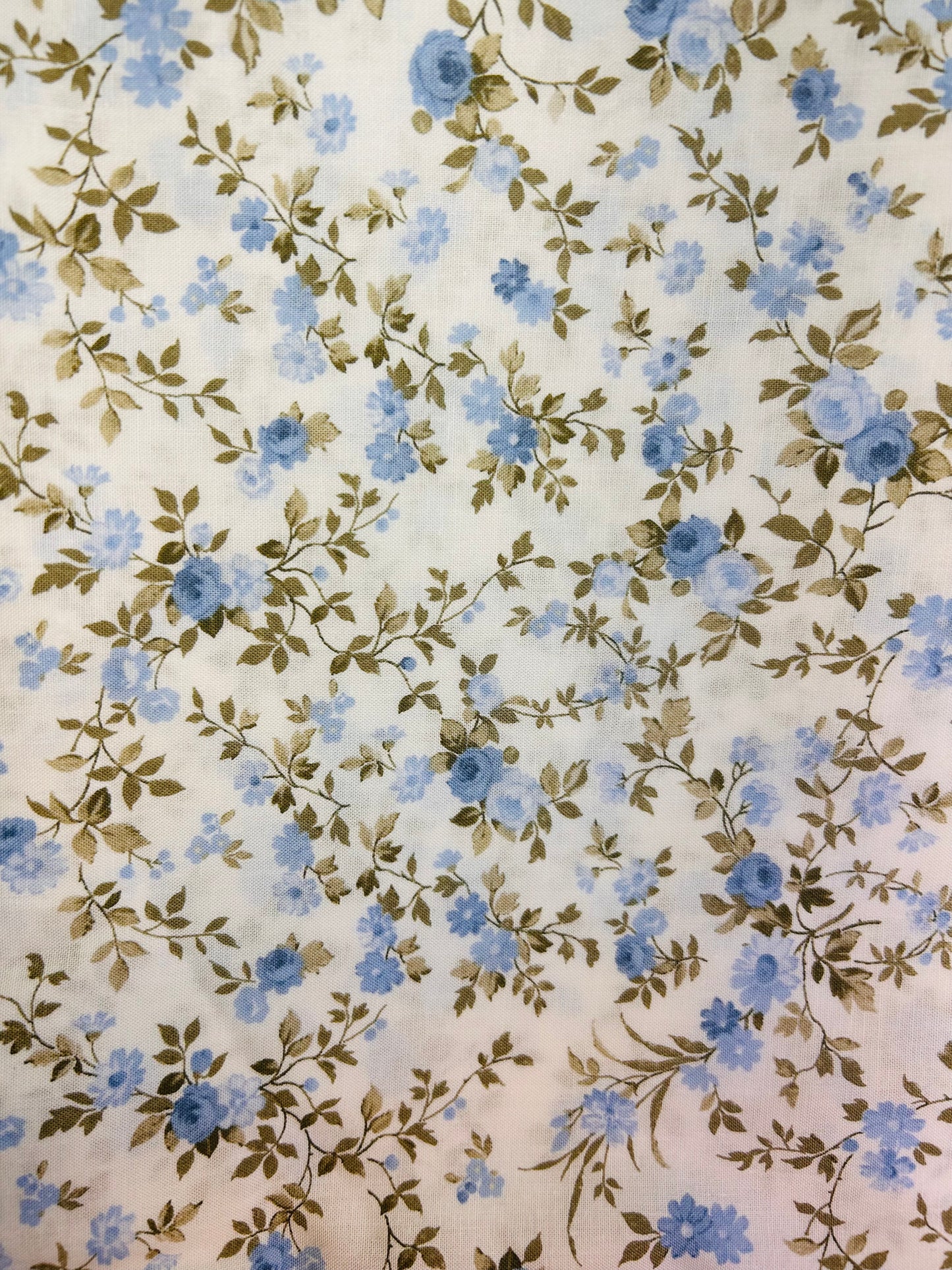 Beige Baby Blue Floral